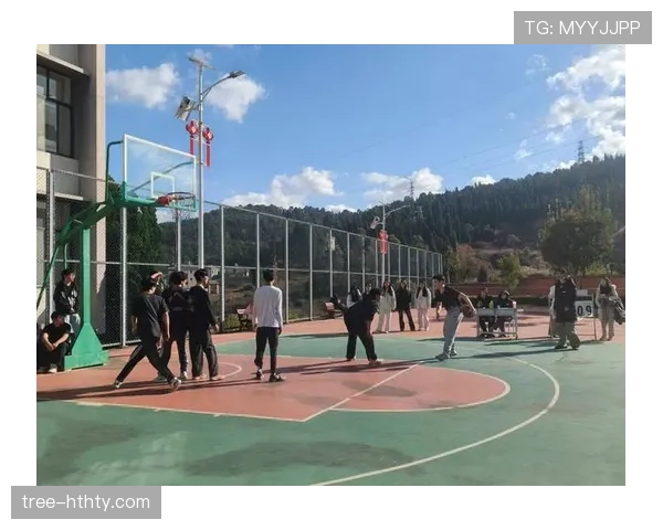 进攻重置的规则解释：如何判罚投篮与运球界线